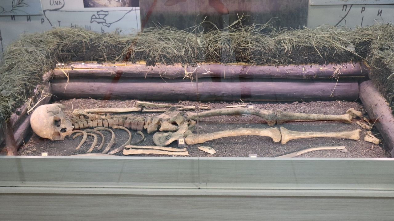 Реконструкция погребения кимакского воина. Конец I тыс. н.э. 