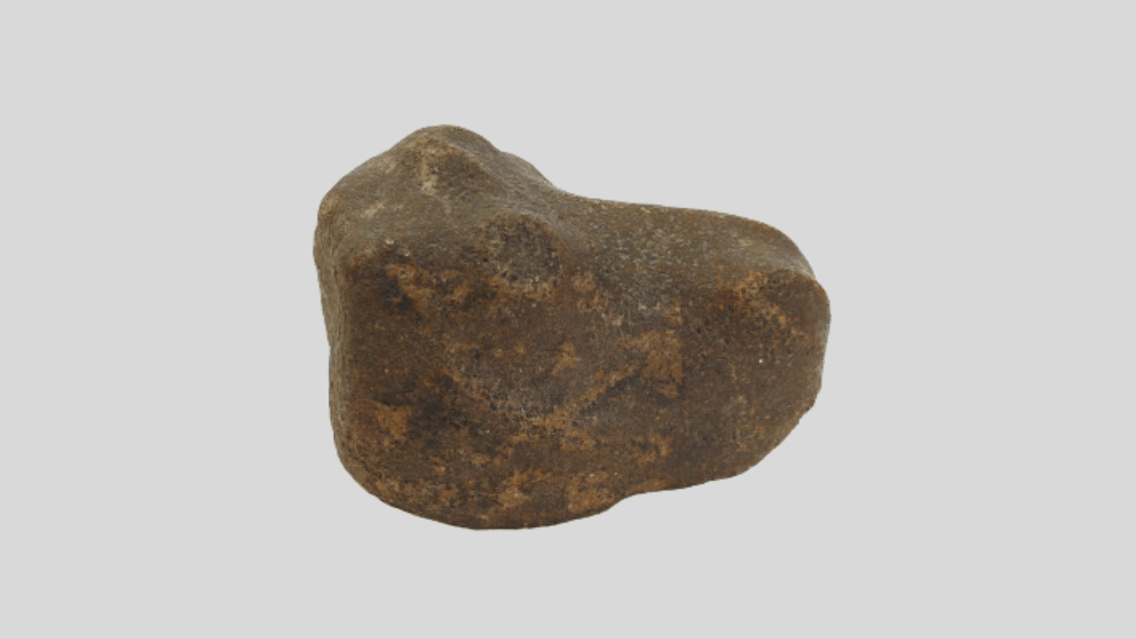 Изображение головы верблюда. II тыс. до н.э.
